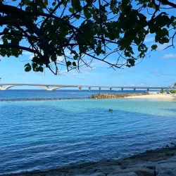 Artificial Beach - Male