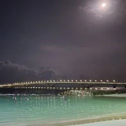 Artificial Beach - Male