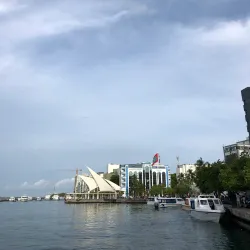 Male Fish Market - Male