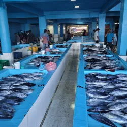 Male Fish Market - Male