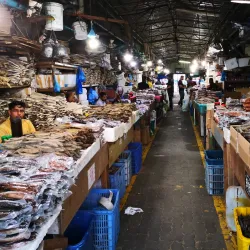 Male Fish Market - Male