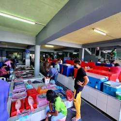 Male Fish Market - Male