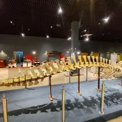 National Museum - Male