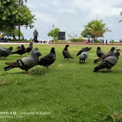 Republic Square (Jumhooree Maidhaan) - Male