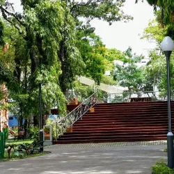 Sultan Park - Male
