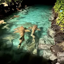 Sunset Viewing Points - Midu