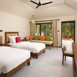 Eco-Friendly Activities - Paradise Island