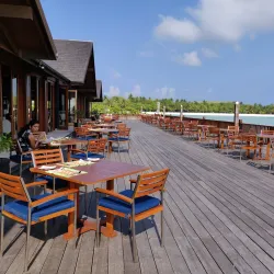 Fine Dining Experiences - Paradise Island