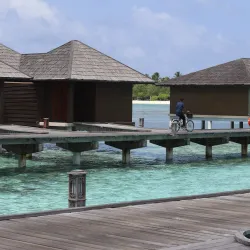 Fine Dining Experiences - Paradise Island