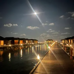 Fine Dining Experiences - Paradise Island