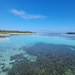 Fine Dining Experiences - Paradise Island