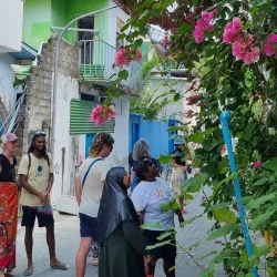 Island Hopping Tours - Paradise Island