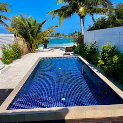 Snorkeling and Diving Sites - Paradise Island