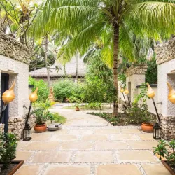 Coral Reefs of Thinadhoo - Thinadhoo