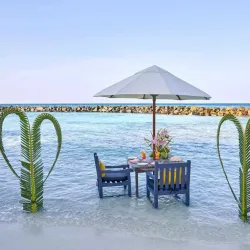 Coral Reefs of Thinadhoo - Thinadhoo