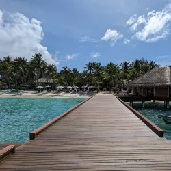 Coral Reefs of Thinadhoo - Thinadhoo