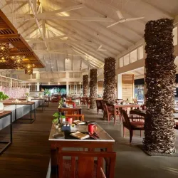 Coral Reefs of Thinadhoo - Thinadhoo