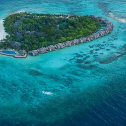Coral Reefs of Thinadhoo - Thinadhoo