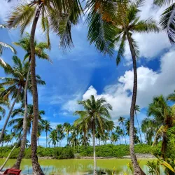 Island Nature Trails - Thinadhoo