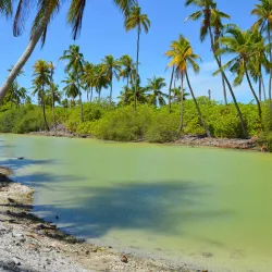 Island Nature Trails - Thinadhoo