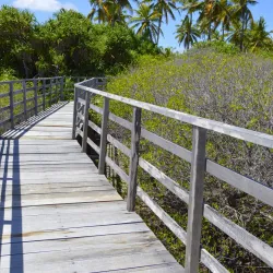 Island Nature Trails - Thinadhoo