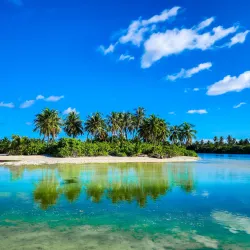 Mangrove Forests - Thinadhoo