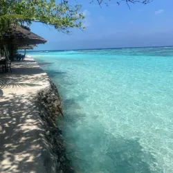 Thinadhoo Beach - Thinadhoo