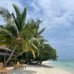 Thinadhoo Beach - Thinadhoo