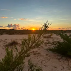 Thinadhoo Beach - Thinadhoo