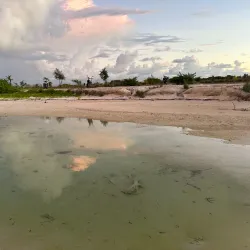 Thinadhoo Beach - Thinadhoo