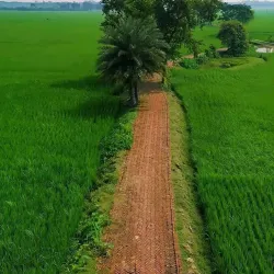 Thinadhoo Beach - Thinadhoo