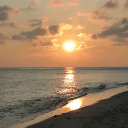 Thinadhoo Beach - Thinadhoo