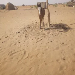 Koumbi Saleh Ruins - Gao