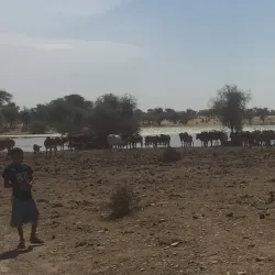 Koumbi Saleh Ruins - Gao