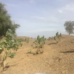 Koumbi Saleh Ruins - Gao