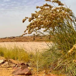 Adrar des Ifoghas - Kidal