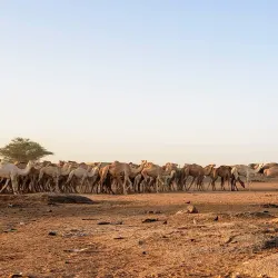 Adrar des Ifoghas - Kidal