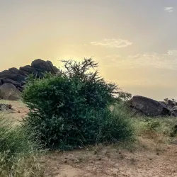 Adrar des Ifoghas - Kidal