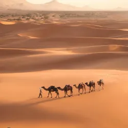 Desert Excursions and Camel Trekking - Kidal