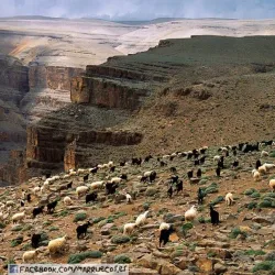 Desert Excursions and Camel Trekking - Kidal