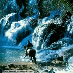 Desert Excursions and Camel Trekking - Kidal