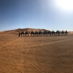 Desert Excursions and Camel Trekking - Kidal