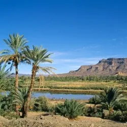 Desert Excursions and Camel Trekking - Kidal