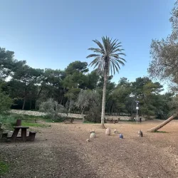 Buskett Gardens - Attard