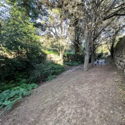 Buskett Gardens - Attard