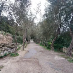 Buskett Gardens - Attard
