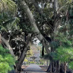 San Anton Gardens - Attard