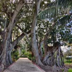 San Anton Palace - Attard