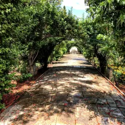 San Anton Palace - Attard