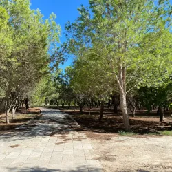 Ta' Qali National Park - Attard